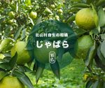 じゃばらの里