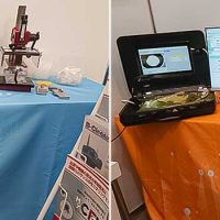 展示内容