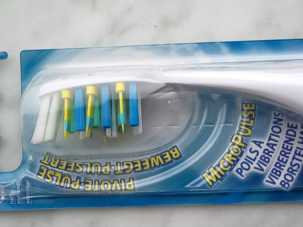 ブラシ部分の拡大