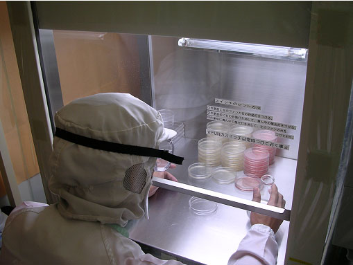 %e7%b4%b0%e8%8f%8c%e6%a4%9c%e6%9f%bb%e9%a2%a8%e6%99%af