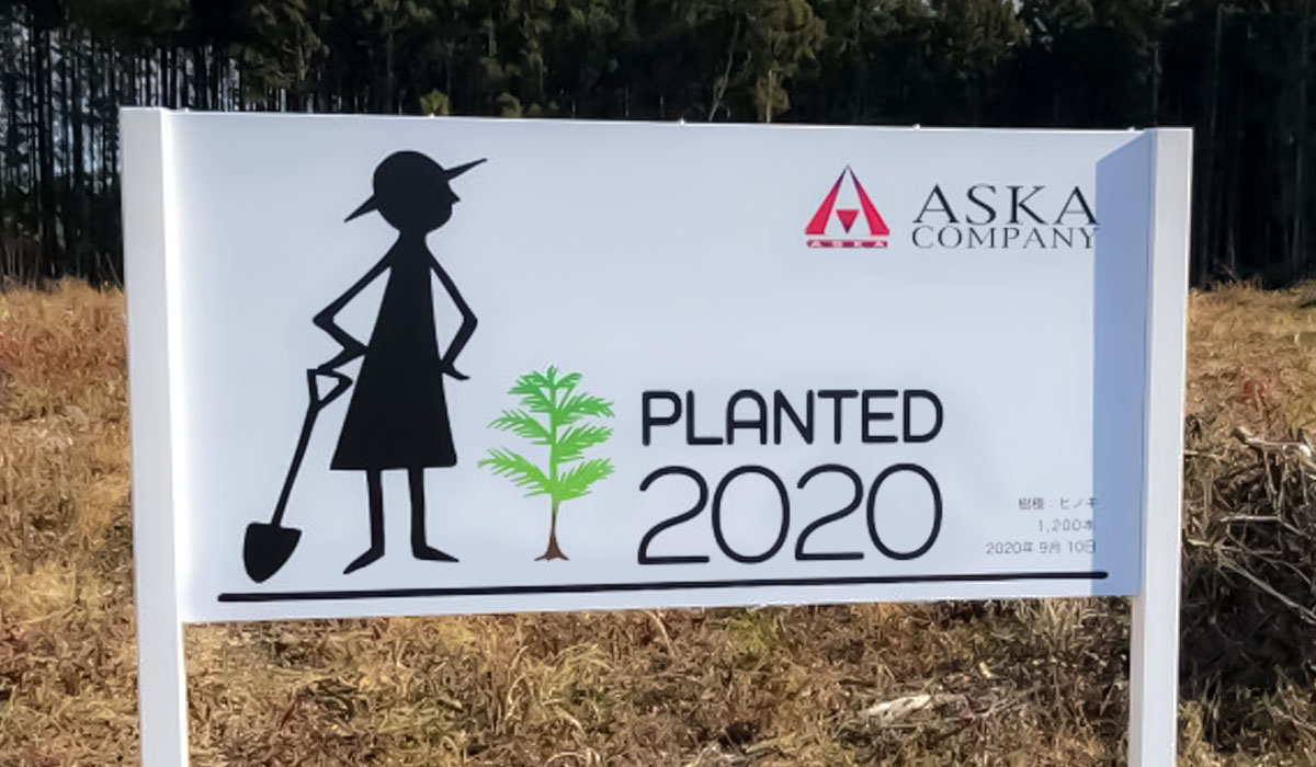 ヒノキ植樹看板