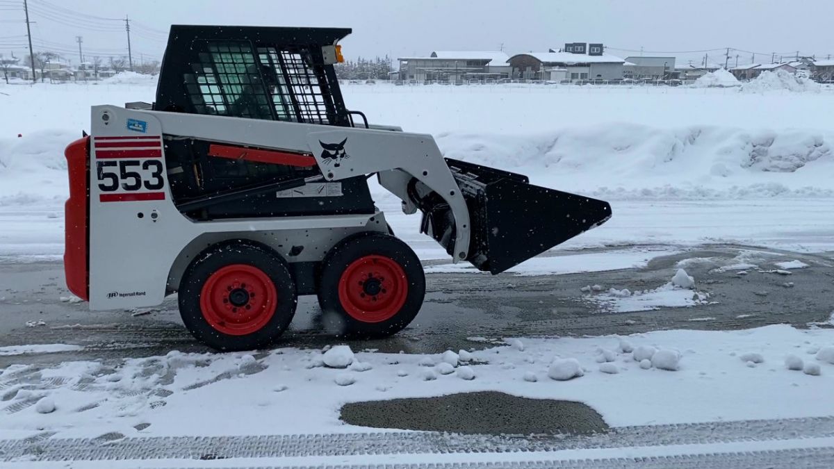 ボブキャット１