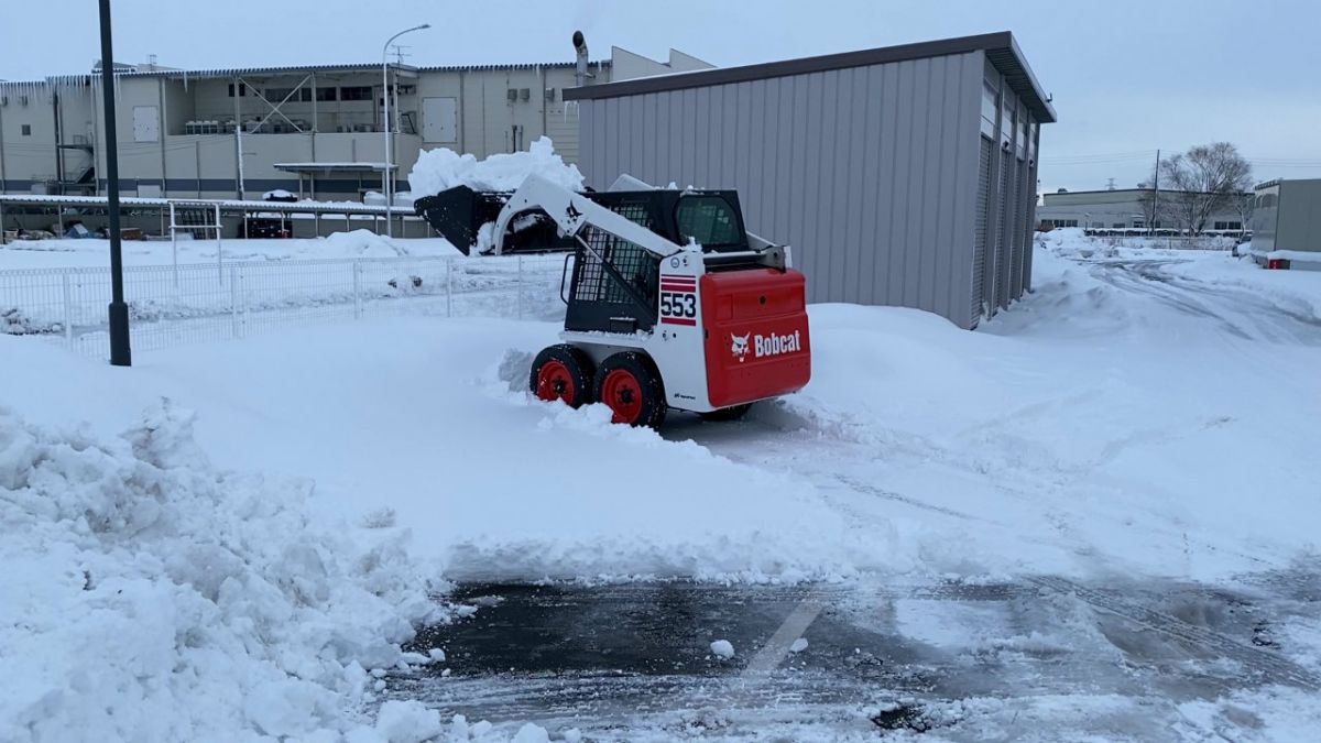 ボブキャット２