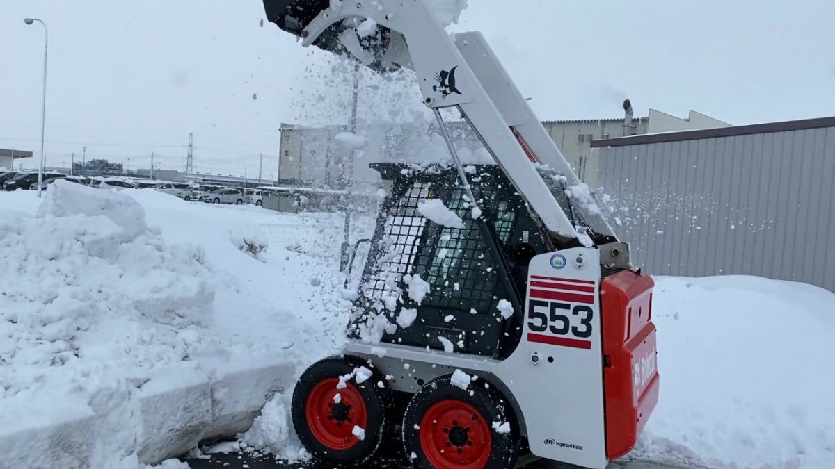 ボブキャット３