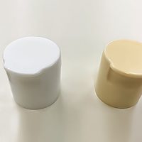 ライスレジンでの試作ヒンジキャップ