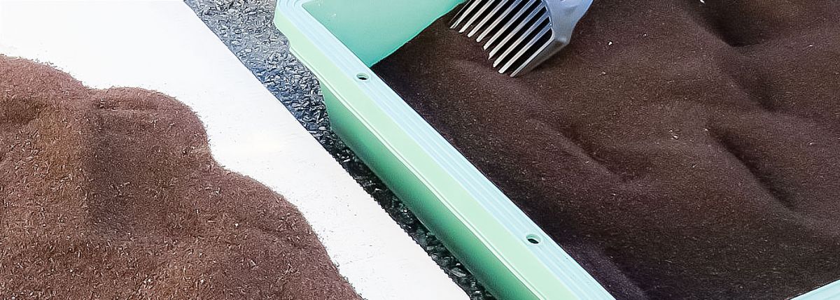 アスカカンパニーで自然乾燥しているコーヒー豆