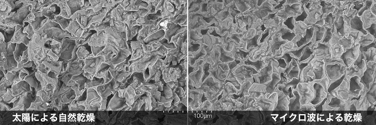 コーヒーカスの拡大写真