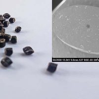 コーヒーカスのマスターバッチ