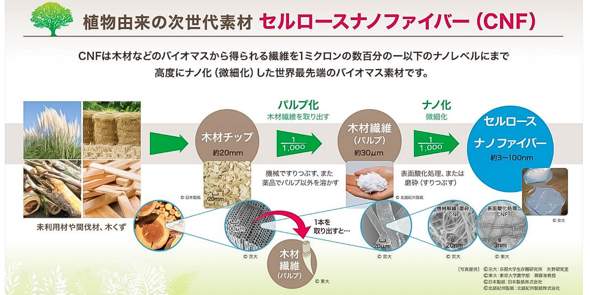 セルロースナノファイバー（CFN）製造の概略図