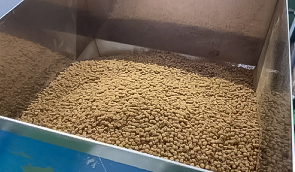 タンブラーに入れる原料